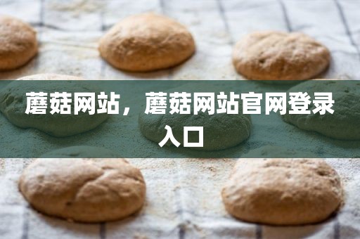 蘑菇网站，蘑菇网站官网登录入口