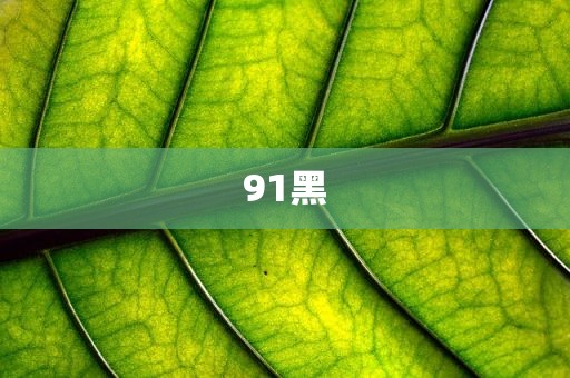 91黑