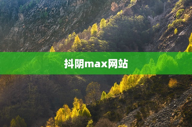 抖阴max网站
