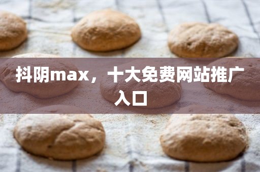 抖阴max，十大免费网站推广入口