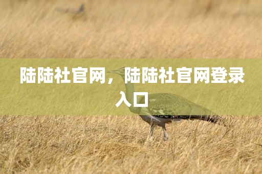 陆陆社官网，陆陆社官网登录入口