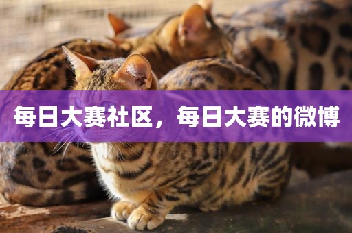 每日大赛社区，每日大赛的微博