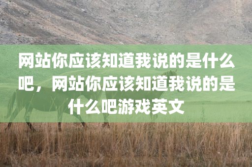 网站你应该知道我说的是什么吧，网站你应该知道我说的是什么吧游戏英文