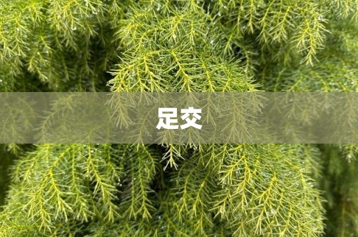 足交