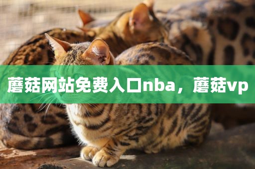 蘑菇网站免费入口nba，蘑菇vp