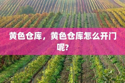 黄色仓库，黄色仓库怎么开门呢?