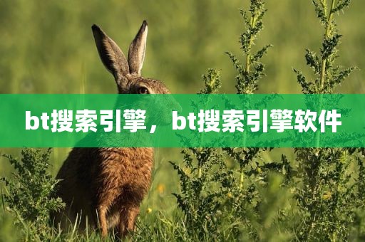 bt搜索引擎，bt搜索引擎软件