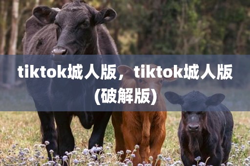 tiktok城人版，tiktok城人版(破解版)
