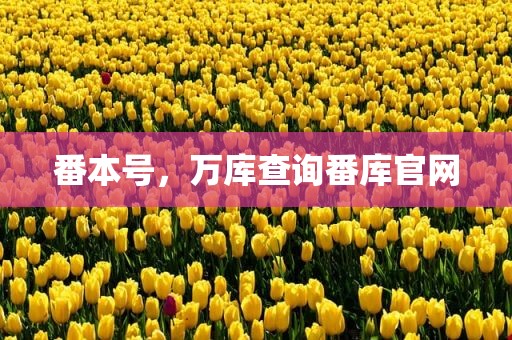 番本号，万库查询番库官网