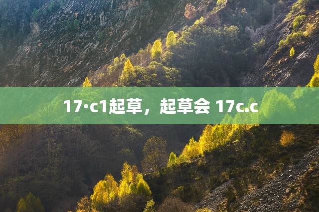 17·c1起草，起草会 17c.c