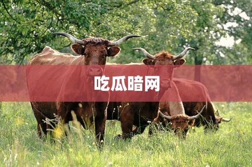 吃瓜暗网