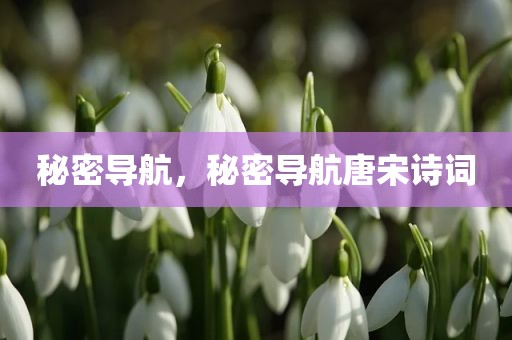 秘密导航，秘密导航唐宋诗词
