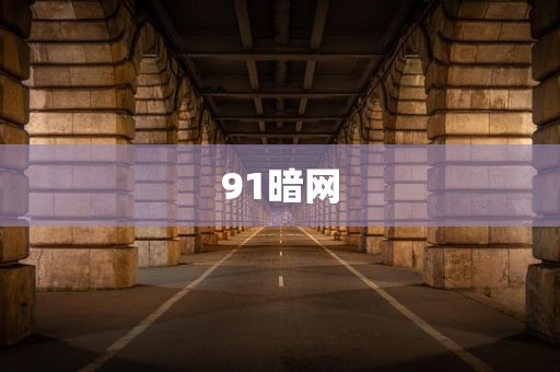 91暗网