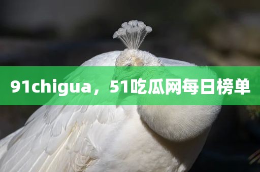 91chigua，51吃瓜网每日榜单