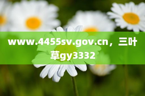 www.4455sv.gov.cn，三叶草gy3332