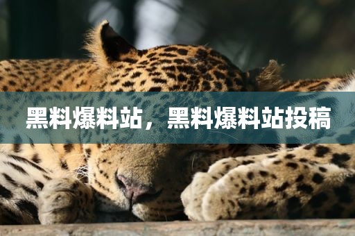 黑料爆料站，黑料爆料站投稿
