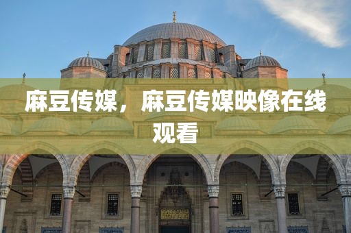 麻豆传媒，麻豆传媒映像在线观看