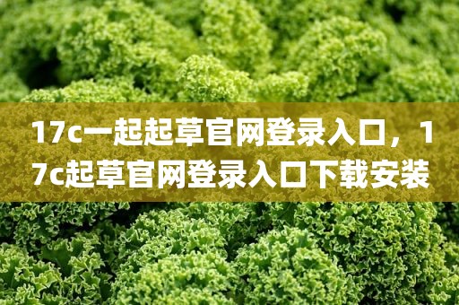 17c一起起草官网登录入口，17c起草官网登录入口下载安装