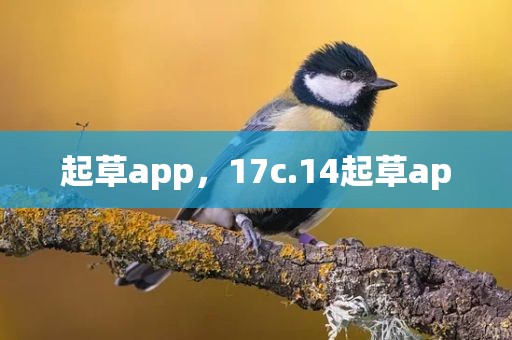 起草app，17c.14起草ap