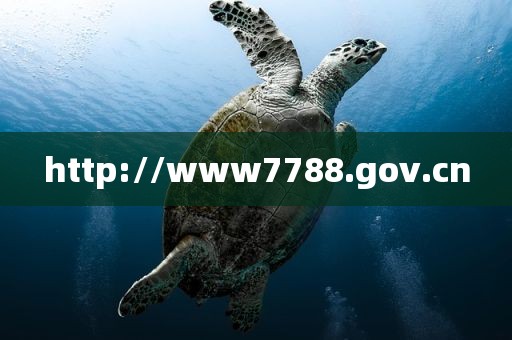 http://www7788.gov.cn