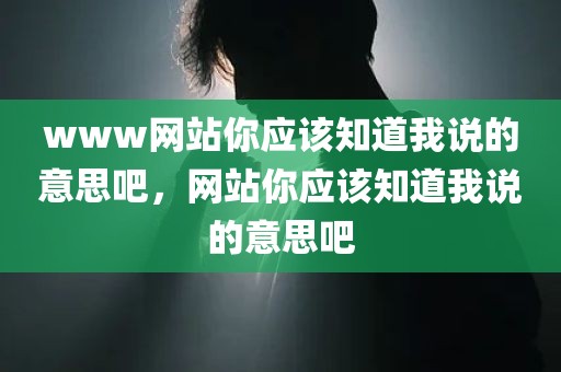 www网站你应该知道我说的意思吧，网站你应该知道我说的意思吧