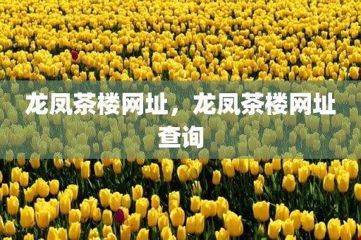 龙凤茶楼网址，龙凤茶楼网址查询