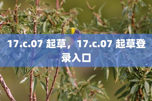 17.c.07 起草，17.c.07 起草登录入口