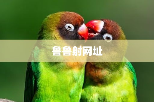 鲁鲁射网址