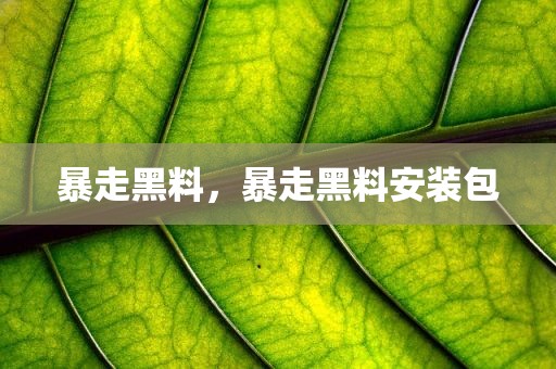 暴走黑料，暴走黑料安装包