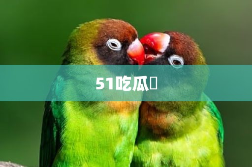 51吃瓜網