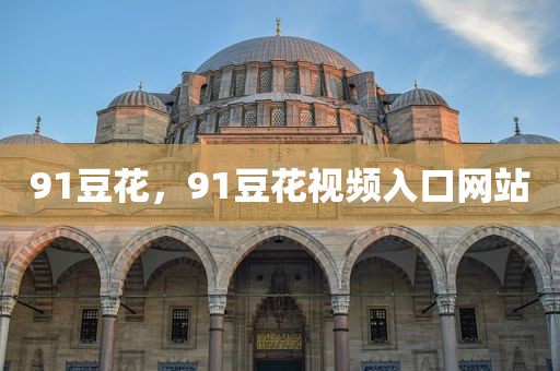 91豆花，91豆花视频入口网站