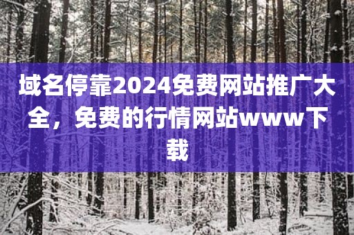 域名停靠2024免费网站推广大全，免费的行情网站www下载