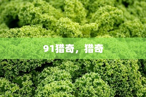 91猎奇，猎奇