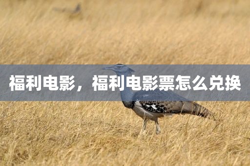 福利电影，福利电影票怎么兑换