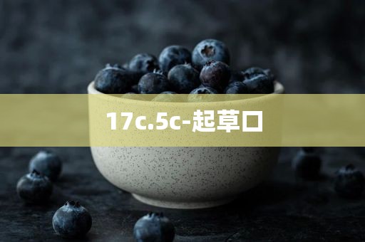 17c.5c-起草口