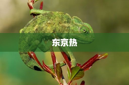 东京热