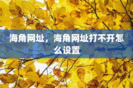 海角网址，海角网址打不开怎么设置