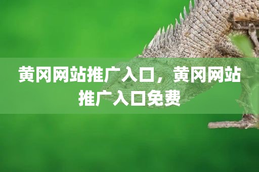 黄冈网站推广入口，黄冈网站推广入口免费