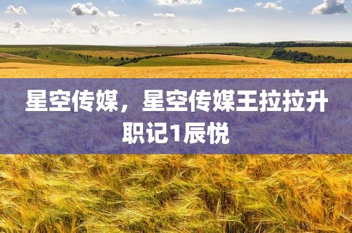星空传媒，星空传媒王拉拉升职记1辰悦