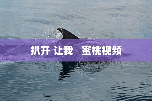 扒开 让我   蜜桃视频