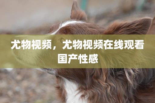 尤物视频，尤物视频在线观看国产性感