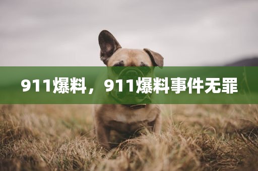 911爆料，911爆料事件无罪