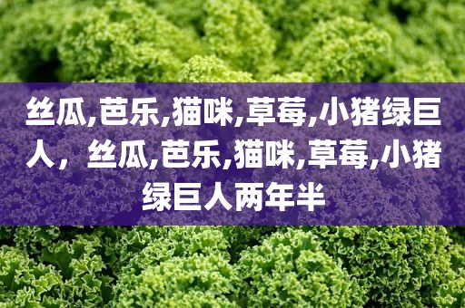 丝瓜,芭乐,猫咪,草莓,小猪绿巨人，丝瓜,芭乐,猫咪,草莓,小猪绿巨人两年半