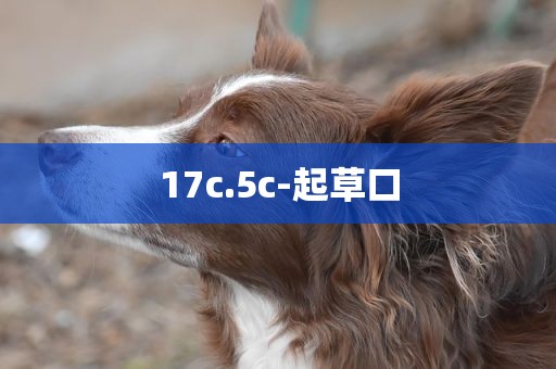 17c.5c-起草口