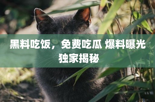黑料吃饭，免费吃瓜 爆料曝光 独家揭秘
