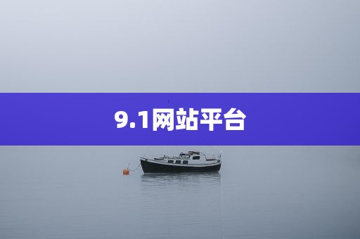 9.1网站平台