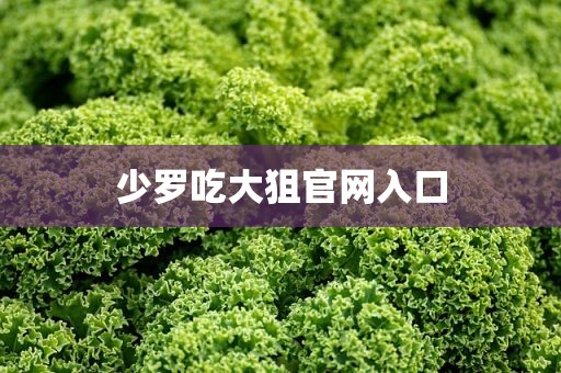 少罗吃大狙官网入口