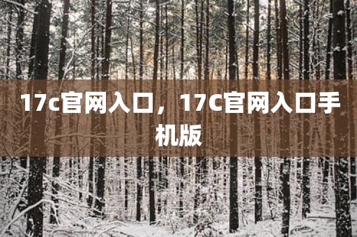 17c官网入口，17C官网入口手机版