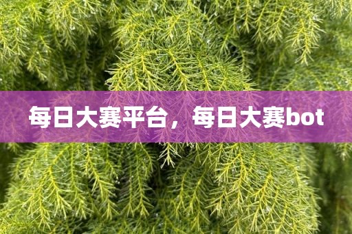 每日大赛平台，每日大赛bot