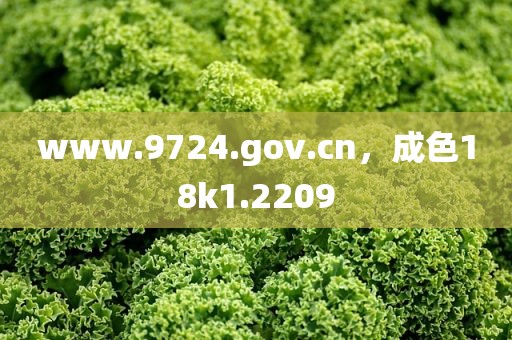www.9724.gov.cn，成色18k1.2209